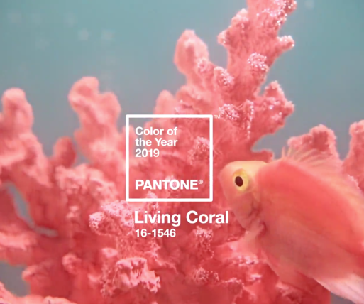 Living Coral, el color Pantone que pintará 2019