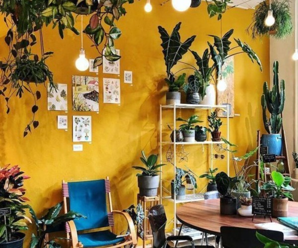 DECORACIÓN DE INTERIORES