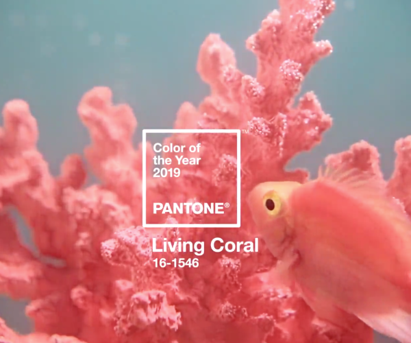 COLOR LIVING CORAL