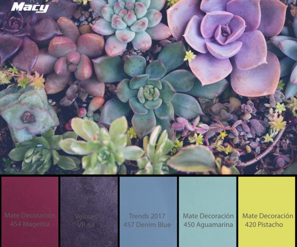 PLANTS INSPIRATION