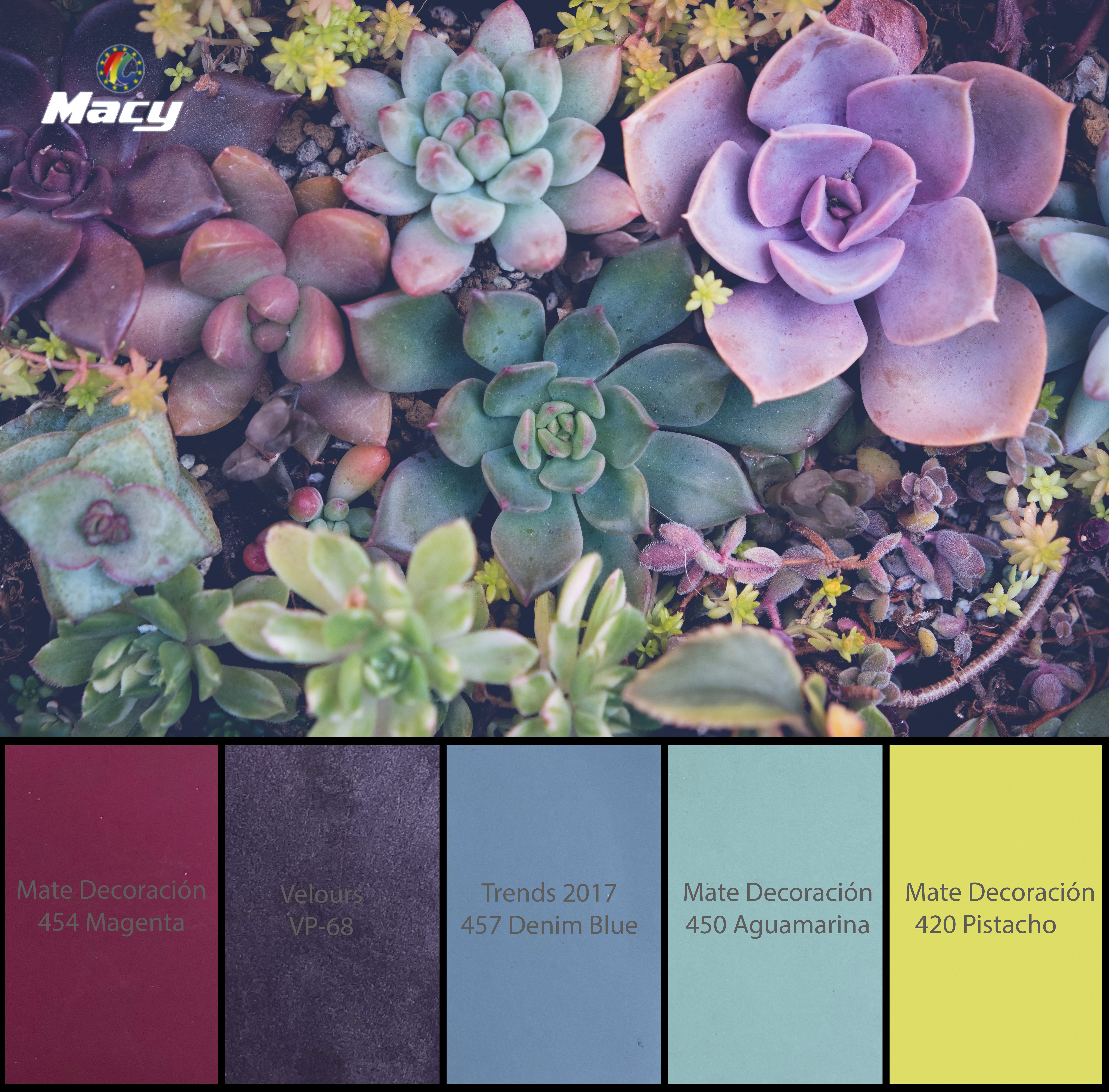 PLANTS INSPIRATION